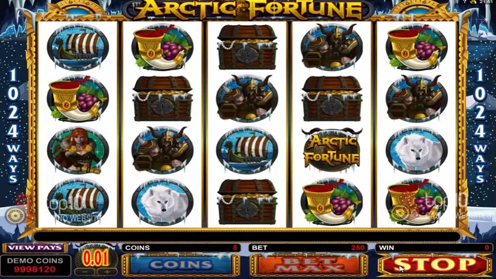 Arctic Fortune Profile Image
