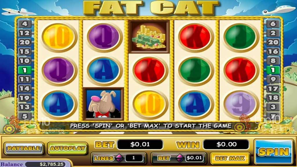 Fat Cat Profile Image
