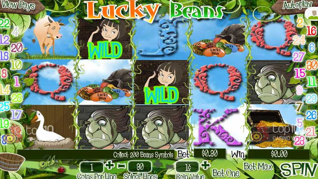 Lucky Beans Profile Image